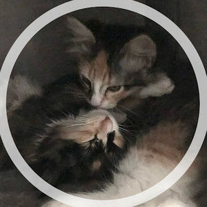 Meet your Posher, Xuming